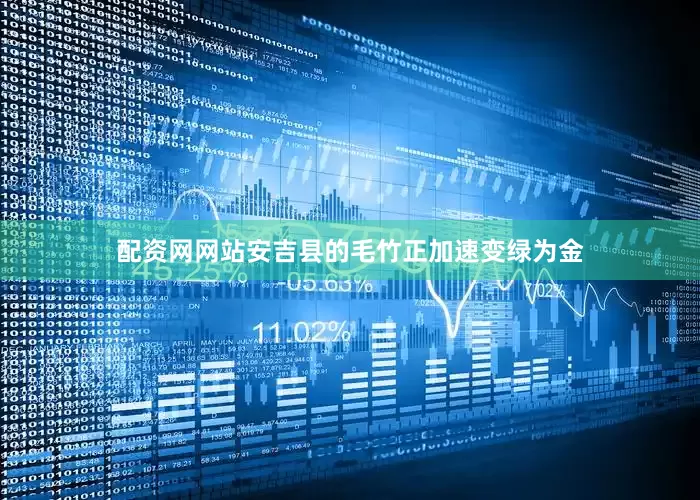 配资网网站安吉县的毛竹正加速变绿为金